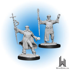 D&D Nolzur's Marvelous Miniatures: Human Wizard Male